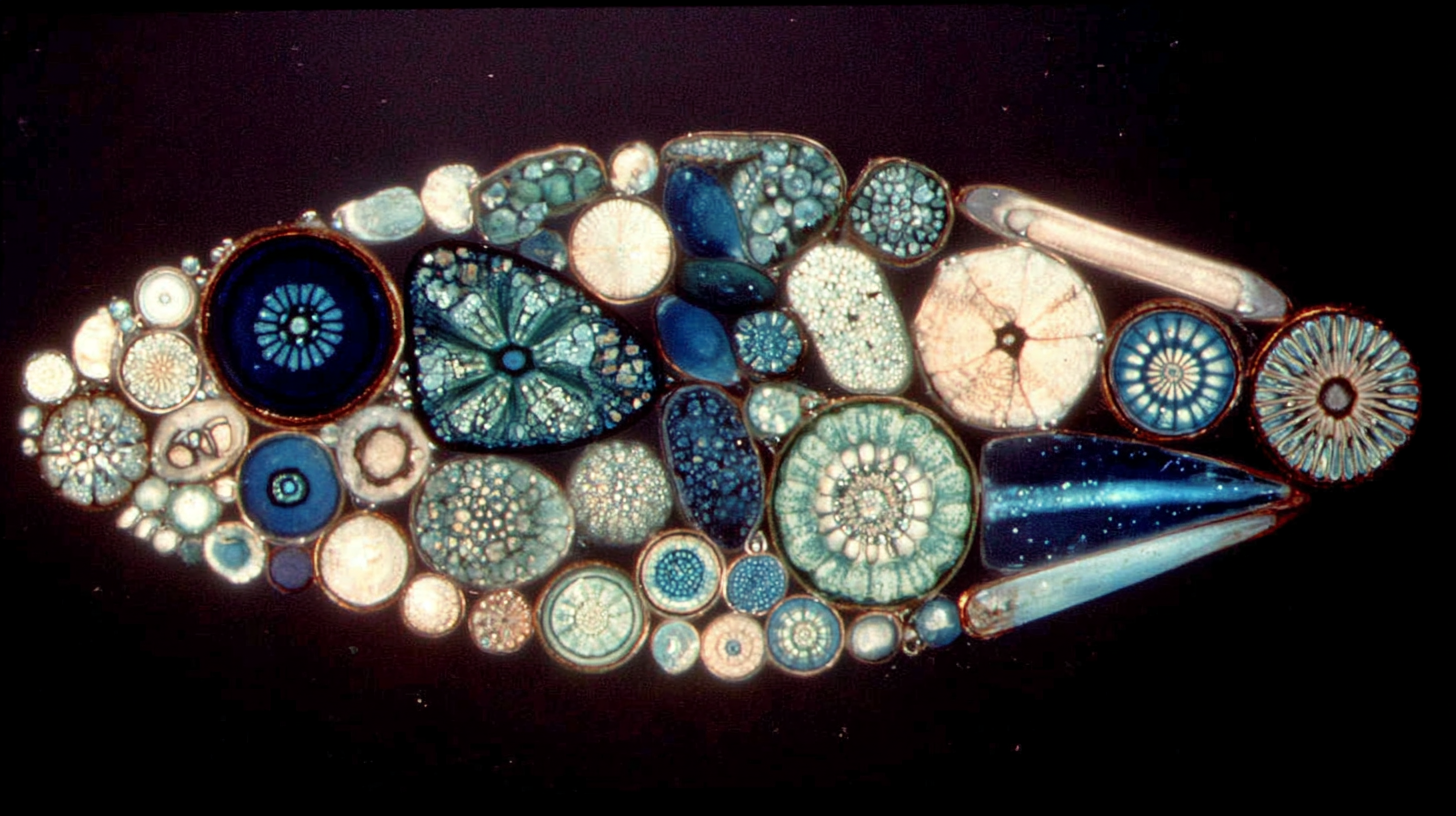 The Truth About Astrology, Gene Keys, and Human Design: What They Can—and Can't—Do