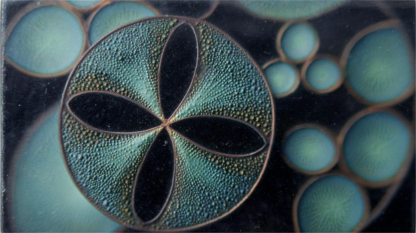 Human Design Types: Which one are you?